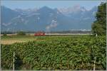 Eine SBB Re 460 zieht ihren IR 1709 kurz vor Aigle Richtung Brig.