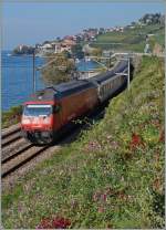 Die SBB Re 460 060-7 fährt mir ihrem IR 1815 am Genfersee bei St-Saphorin entlang.