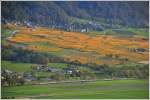 EC 206 ist unterwegs unterhalb der herbstlichen Rebberge von Jenins in der Bündner Herrschaft.