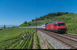 Re 460 037 mit einem IC Genève Aéroport - St.