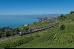 Re 460 028 mit Werbung für das Zugpersonal der SBB zieht am 19.