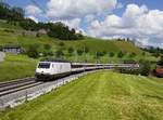 Die Re 460 113 mit einem IR am 01.06.2019 unterwegs bei Arth-Goldau.