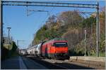 Eine SBB Re 460 mit ihrem Doppelstock IR90 von Genève Aéroport nach Brig bringt kräftige Fahren in den schon recht farbenlosen Spätherbst bei Burier.