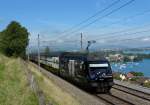 Re 460 019 mit einem IC nach Romanshorn am 31.08.2011 bei Einigen.