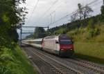 Re 460 031 mit einem IC nach Basel am 27.08.2013 bei Einigen.