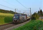 Re 460 076 mit einem IC nach Brig am 31.08.2013 bei Spiez.