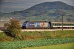 Re 460 005-2.Die  RailAway  Lok im warmen Novemberlicht am frhen Nachmittag, kurz hinter Frick AG, auf ihrer Fahrt nach Basel am 7.11.2006.