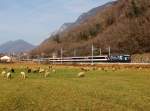 Die Re 460 028 mit einem IR am 19.12.2015 unterwegs bei Arbedo-Castione.