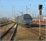 Die BLS Re 465 009-9 und eine weitere erreichen mit einer RoLa von Norden her den Badischen Bahnhof von Basel.