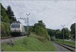 Die BLS Re 465 008 erreicht mit ihrem aus EW III formierten RE 3919 von La Chaux-de-Fonds nach Bern den Spitzkehrbahnhof Chambrelien.