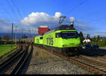 BLS - Loks 465 009 + 465 018 vor einem Oelzug unterwegs bei Busswil am 21.09.2021  *** Standort des Fotografen auf dem Perron und somit Ausserhalb der Gelesie