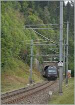 Die BLS Re 465 002 schiebt ihren RE von Bern nach La Chaux de Fonds und taucht gleich in den Vue des Alpes Tunnel ein. Auch hier sind Besen zu erkennen, die gegebenenfalls Köpfe und Arme neugieriger Reisenden sanft, aber bestimmt ins Wageninnere verweisen. 

12. August 2020