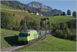 Faszination Spurwechsel - Die BLS Re 465 002 ist mit dem GoldenPass Express 4065 von Interlaken nach Montreux bei Enge im Simmental auf dem Weg nach Zweisimmen, wo der Zug dann umgespurt nach Montreux