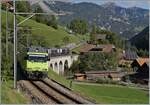 Drei Bilder mit wenig, etwas mehr und viel Eisenbahn, so dass für jeden Geschmack etwas dabei seine sollte.

Die BLS Re 465 002 ist bei Garstatt mit ihrem GoldenPass Express GPX von Interlaken Ost nach Montreux unterwegs. In gut einer Viertelstunde wird eine MOB Ge 4/4 in Zweisimen den Zug übernehmen. 

29. September 2023