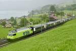 Die Re 465 017 mit dem GPX  Gstaad  in Richtung Zweisimmen, auch der neue Niederflurwagen ist jetzt im Zug eingereiht, am 30.5.24 bei Faulensee.