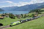 Die Re 465 017 mit einem GPX Richtung Montreux am 17.6.24 bei Faulensee.            
