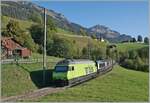 Die BLS Re 465 014 ist mit dem GoldenPass Express GPX 4064 nach Interlaken Ost bei Enge im Simmental unterwegs. Die BLS Lok hat den umgespurten Zug in Zweisimmen von der MOB übernommen.  

7. Okt. 2023