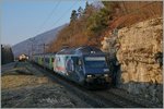 Die BLS Werbelok 465 001-6 verlässt mit ihrem RE 3913 von La Chaux de Fonds nach Bern die Spitzkehre Chambrelien Richtung Neuchâtel.