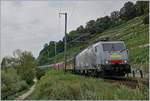 Die MRCE 189 090  Göttingen  (UIC 91 80 6189 990-5 D-Dispo Class 189-VE), vermietet an SBB Cargo, in der Novelis-Farbgebung mit ihrem Aluminiumzug Sierre - Göttingen kurz vor Twann, dem wohl