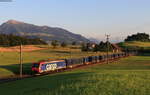 Re 474 009-8 mit einem Containerzug bei Buonas 23.6.20