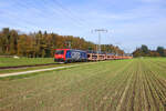 Die Re 474 005 von SBB Cargo International fährt mit einem Autozug voller Volvo's durch Hindelbank Richtung Domodossola.