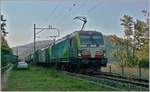 Die BLS Re 475 412 und eine weitere fahren im Schatten mit einem via Alte Hauensteinlinie umgeleiteten Güterzug Richtung Sissach. Der Zug fährt gerade durch den Bahnhof Sommerau und wird in Kürze eine Stelle erreichen die sich  Gotthard  nennt. 
18. Juli 2018