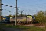 Mit einem Walterzug am Haken kommt die Bls-Cargo 4475 409-9 bei Riedstadt-Goddelau gen Stockstadt fahrend am Sonntag den