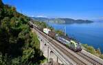 Re 475 420 mit einem Containerzug am 06.10.2022 bei Immensee.