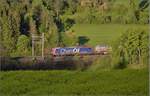 Re 482 012-2 ganz im Grnen am Bzberg, da ndert nicht einmal das Rapsfeld im Schatten etwas daran.