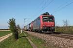 Am 07.04.2017 rollte abgebügelt die Re 482 005-6 mit einem Containerzug bei Hügelheim durchs Markgräflerland in Richtung Schweizer Grenze.