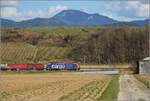 Bahn im Markgräfler Land.