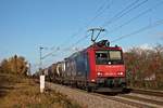 Re 482 001-5 am Nachmittag des 30.10.2017 mit dem  BASF -Zug DGS 49069 (Karlsruhe Rbf - Basel SBB Rbf) südlich von Buggingen durchs Markgräflerland in Richtung Schweizer Grenze.