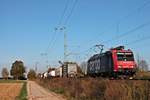 Re 482 029-6 am Nachmittag des 31.10.2017 mit einem Containerzug, den sie seit Aachen West bepannte, als sie bei Müllheim (Baden) durchs Markgräflerland gen Basel fuhr.