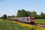 Re 482 015-5 und Re 482 002-3 mit dem DGS 49069 (Karlsruhe Gbf-Basle Bad Bf) bei Riegel 14.8.19