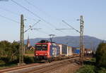 Re 482 009-8 mit dem DGS 43588 (Gallarte-Y Schijn) bei Köndringen 19.9.19