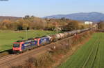 Re 482 022-1 und Re 482 028-8 mit dem DGS 48666 (Basel SBB RB-Hamburg Hohe Schaar) bei Teningen 31.3.20