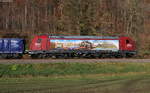 Re 482 036-1 und Re 482 047-8  Jim Knopf  am Zugschluss mit dem DGS 41689 (Wismar-Frauenfeld) bei Sulz 15.11.20