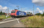 Kaum war der RE nach Cottbus durch, musste doch noch mal an die Schranke gehechtet werden.