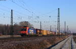 Re 482 016-3 mit dem DGS 43023 (Duisburg Wedau - Gallarate) in Niederschopfheim 13.1.22