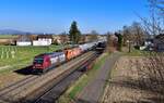 Re 482 047 + Re 482 048 mit einem Kesselzug am 23.03.2022 bei Stephansposching.