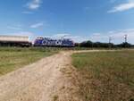 ChemOil 482 xxx-x der SBB Cargo ist mit einem Ganzzug aus Kesselwagen in Richtung Süden unterwegs. (05.08.2022 in der Nähe von Triesdorf)