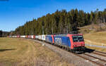 Re 482 005-6 und Re 482 008-0 mit dem DGS 42643 (Antwerpen Nord Bundel - Chiasso SM) im Groppertal 20.2.23