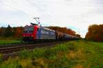 SBB Cargo International Bombardier Traxx 482 018-9 mit Kesselwagen in Bischofsheim am 04.11.23