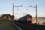 482 033 (SBB Cargo) mit einem Gterzug in Immensee (10.01.2008)