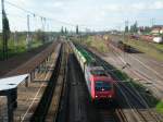 Am 4.5.08 fhrt die 482 036-1 am Rbf Magdeburg-Rothensee,mit einem leeren Hackschnitzelzug,vorbei.