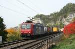 SBB cargo Re 482 000-7 am 12.10.2008 bei Istein.