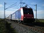 BR 482 bei schnem Herbstwetter in der Nhe von Offenburg.14.10.08