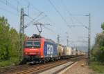 482 014-8 bei Muggensturm Nord, 15. April 2009.