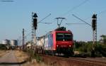 Re 482 018-8 mit einem KLV bei Wiesental 24.8.09