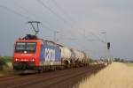 482 005-6 fuhr mit wenigen Kesselwagen am 30.06.2009 durch Neuss Allerheiligen